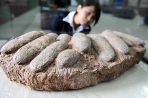 The fact that land-bound dinosaurs laid eggs is what sealed their fate of mass extinction, scientists say