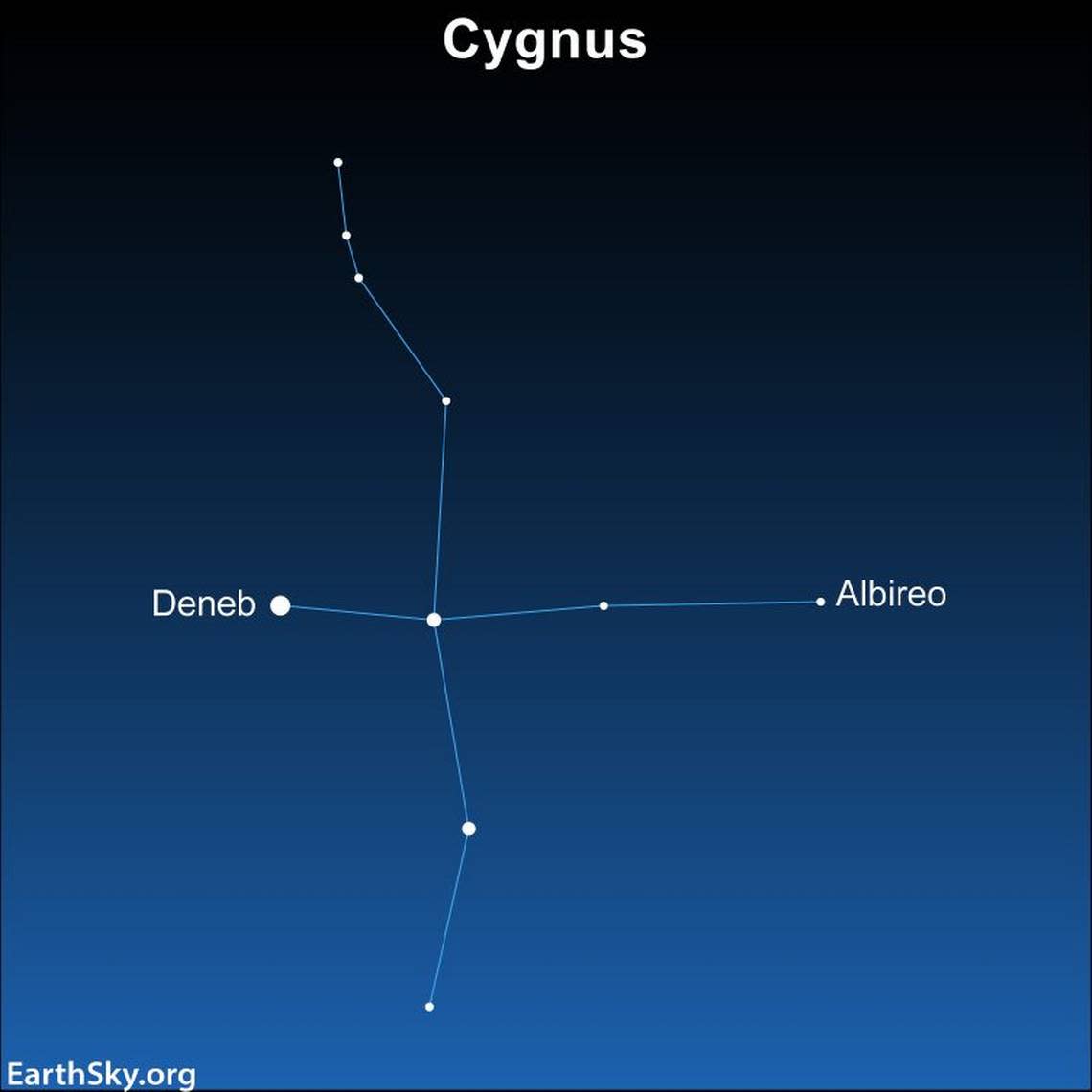 Cygnus the Swan’s brightest star, Deneb, marks one of the corners of the Summer Triangle. And its bright double star, Albireo, is one of the finest in the heavens.