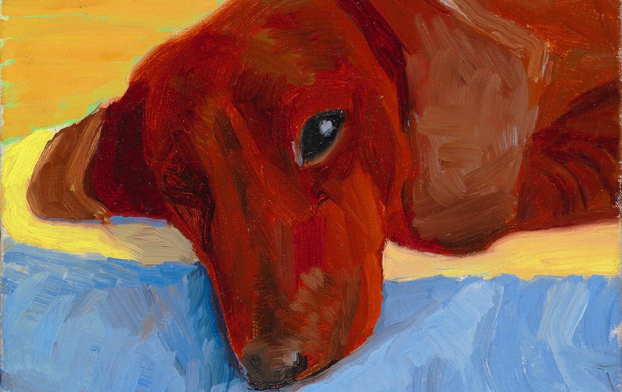 David Hockney's Dog Painting 30 - Richard Schmidt Collection The David Hockney Foundation