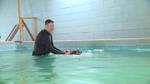 A 13-year-old chocolate lab named Babygirl comes to Dog Swim Vancouver once a week for a swimming session (CBC News - image credit)