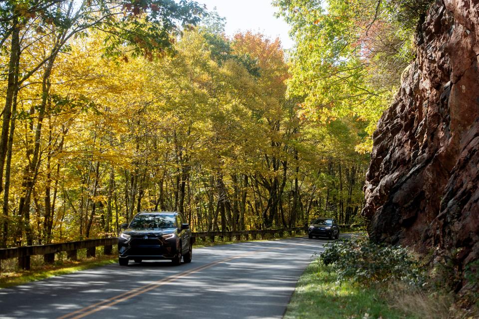 Motorists travel under autumn leaves on the Blue Ridge Parkway, October 19, 2023.