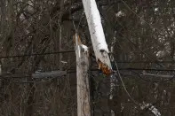 A utility pole snapped after a winter storm rolled through Western New York Tuesday, Dec. 27, 2022, in Amherst, N.Y. (AP Photo/Jeffrey T. Barnes)