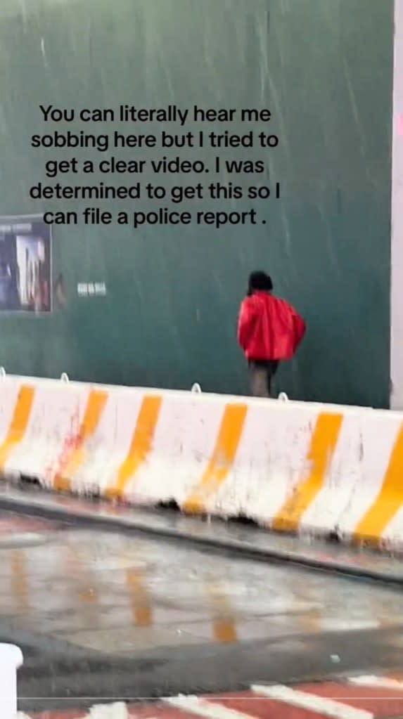 @Malous228 shared a video of the alleged attacker. @malous228/ TikTok