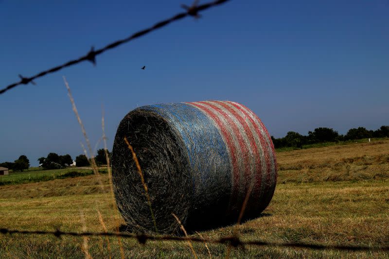 FILE PHOTO: A bale of hay sits wrapped in a material to look like the American flag on a farm in Appleton City, Missouri