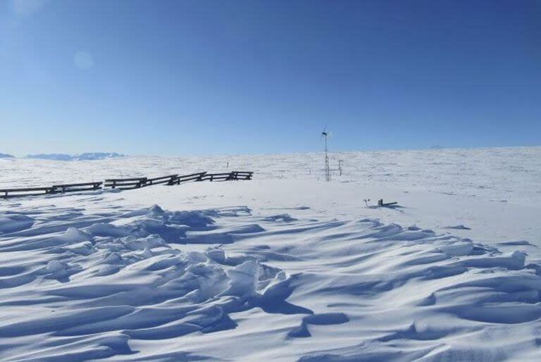 Conocido como Polo Norte, el Ártico es un territorio de hielo 