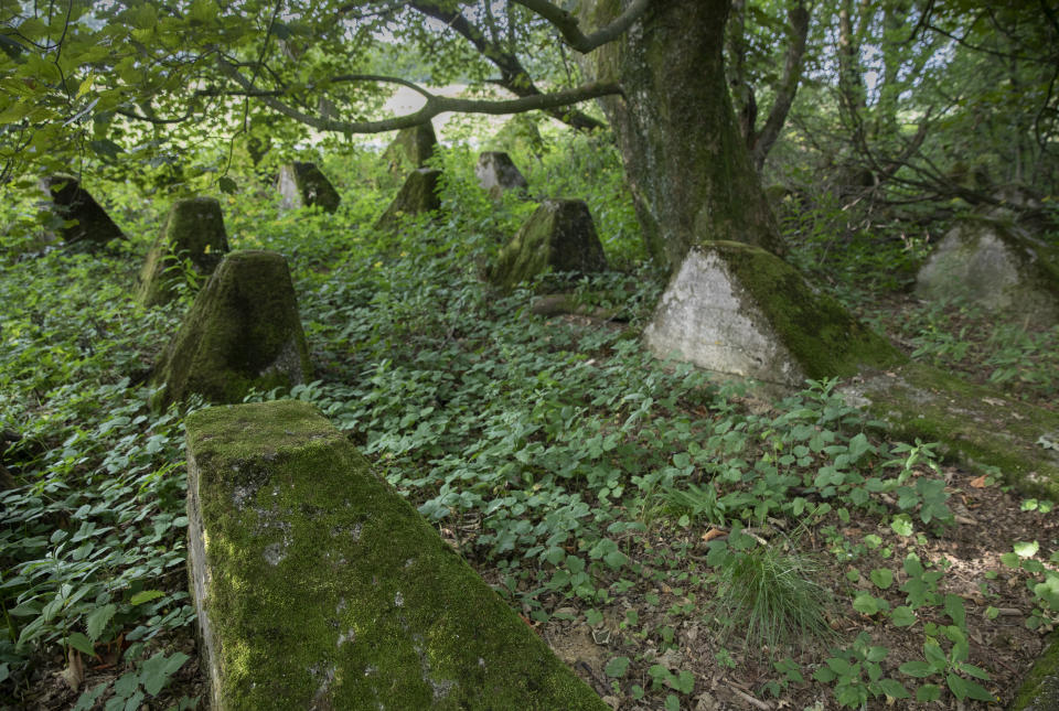 In this photo taken on Aug. 8, 2019, World War II anti-tank obstacles, known as Dragon's Teeth, are covered in moss near Simmerath, Germany. The square-pyramidal fortifications of reinforced concrete first used by the German Army during World War II to impede the movement of tanks and mechanized infantry. It was 75 years ago that Hitler launched his last desperate attack to turn the tide for Germany in World War II. At first, German forces drove so deep through the front line in Belgium and Luxembourg that the month-long fighting came to be known as The Battle of the Bulge. (AP Photo/Virginia Mayo)