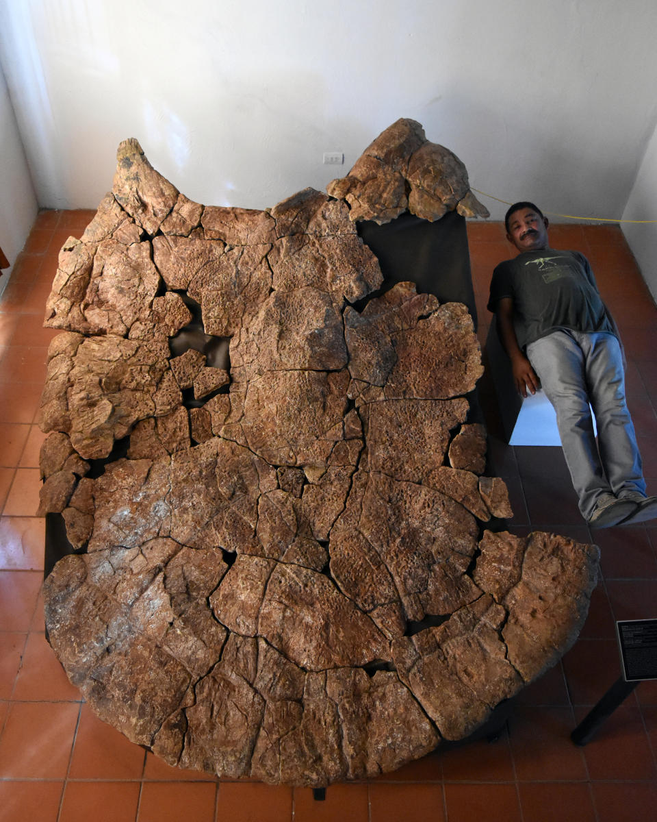 Venezuelan palaeontologist Rodolfo Sanchez and a male shell of the giant turtle (Edwin Cadena/PA)