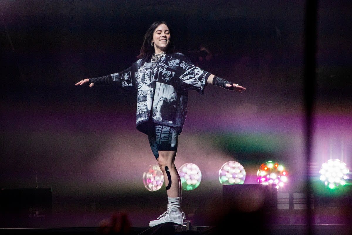 Billie Eilish will lead the line-up for the Prince of Wales’ Earthshot Prize awards ceremony  (Joel C Ryan/Invision/AP)