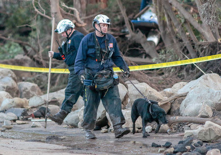 Search and rescue workers and a dog scour through properties after a mudslide in Montecito, California, U.S. January 11, 2018. REUTERS/ Kyle Grillot