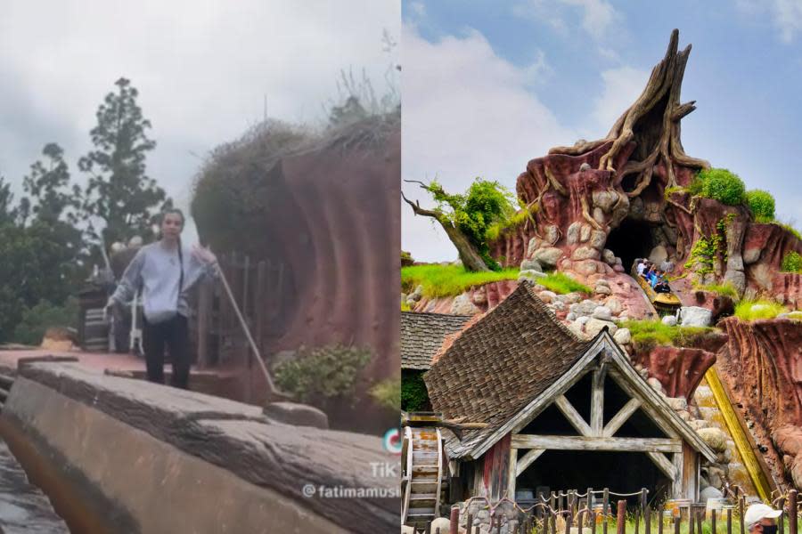 ¡Una acción peligrosa! Joven baja en medio paseo de Splash Mountain en Disneyland