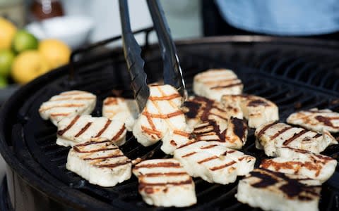 Halloumi - Credit: Jennifer Burke-Nott