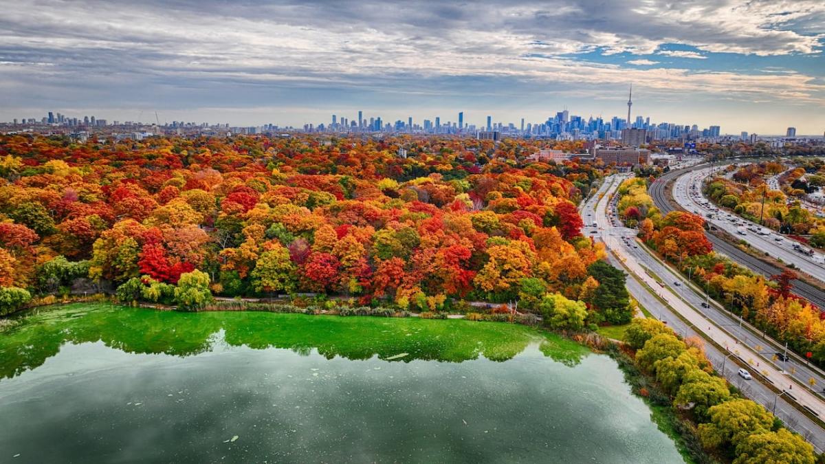 Fall colours could end faster in Ontario due to summer flash floods