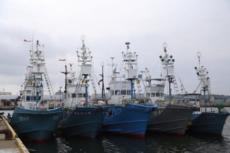 Whaling ships which are set to join the resumption of commercial whaling are seen before they sail out at a port in Kushiro, Hokkaido Prefecture, Japan