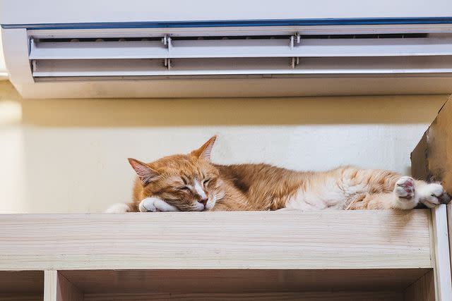 <p>Kilito Chan/Getty</p> Orange cat sitting in front of an air conditioner