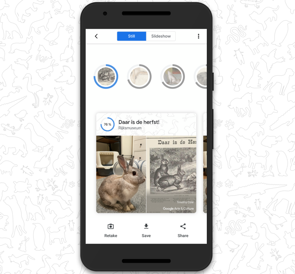 The Pet Portraits feature in the Google Arts & Culture app.