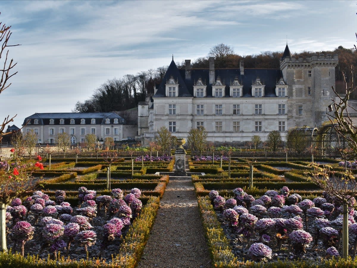 Villandry’s garden is considered one of the finest in France (Chateau de Villandry)