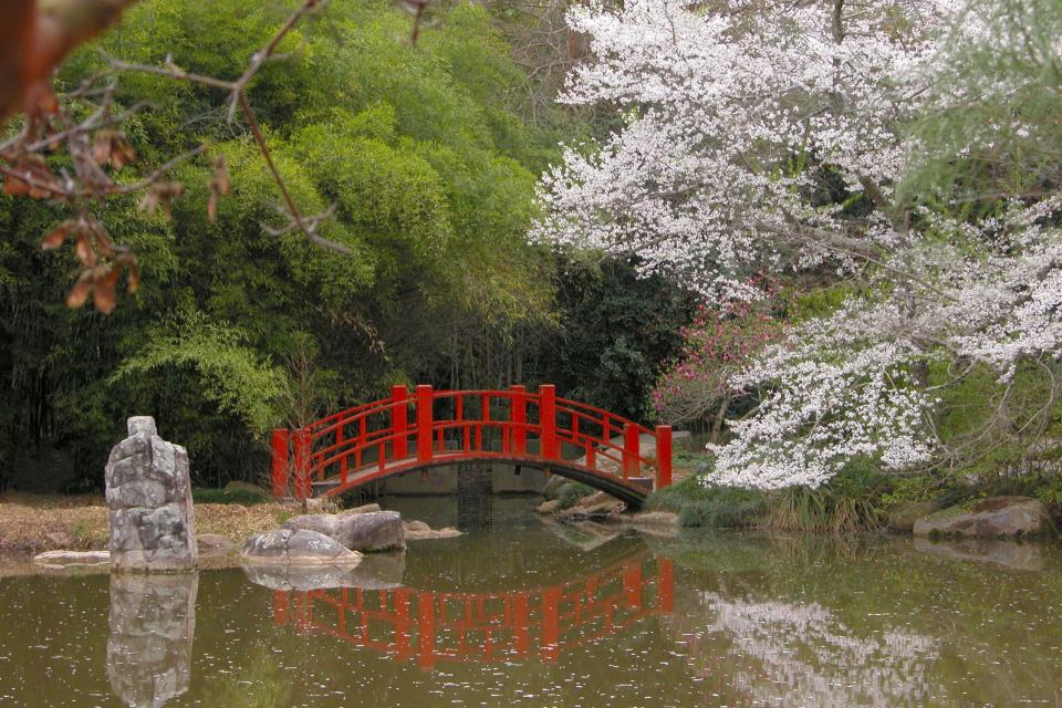 Birmingham Botanical Gardens