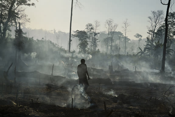 A Guatemalan farmer surveys former forest area after a burning within Laguna del Tigre National Park, Maya Biosphere reserve.