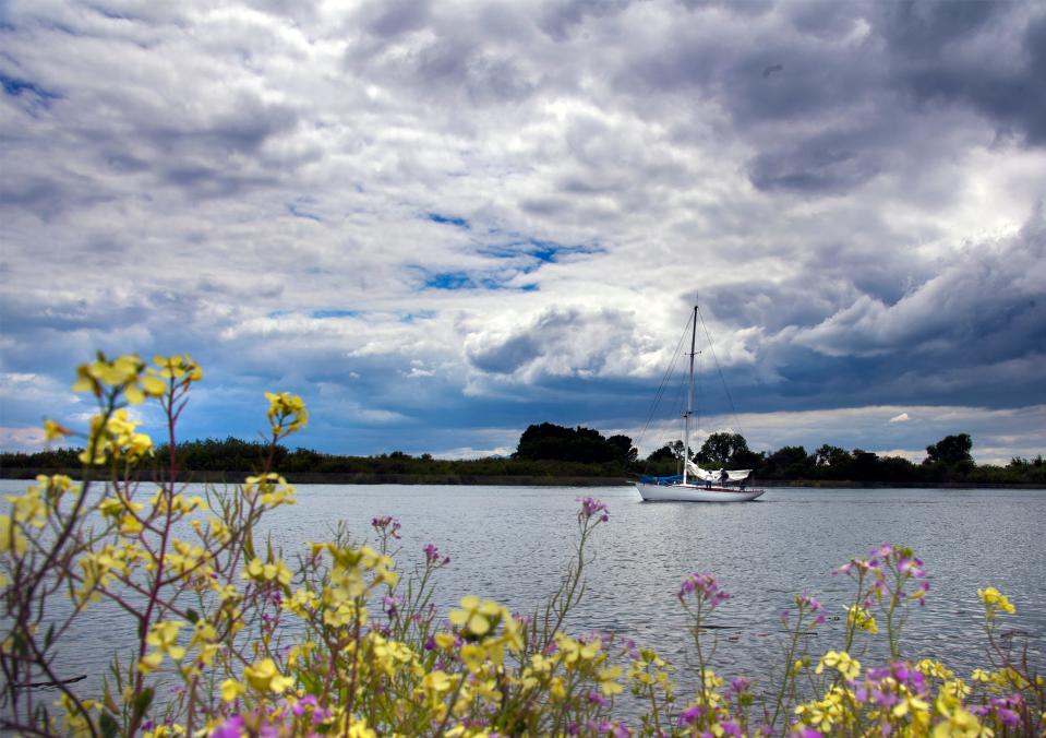 20180525A boat cruises down Little Potato Slough against a backdrop of cloudy skies which were left over from early morning rains along Empire tract Road near Eight Mile Road in Stockton. [CLIFFORD OTO/THE RECORD]