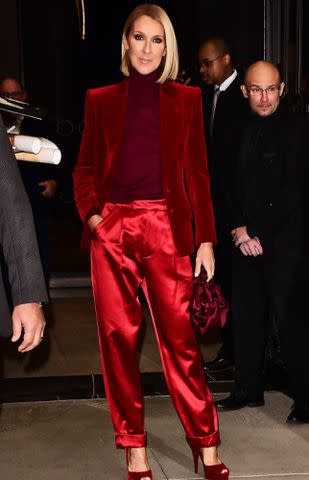 <p>Patricia Schlein/Star Max/GC Images</p> Celine Dion is seen on November 14, 2019 in New York City.