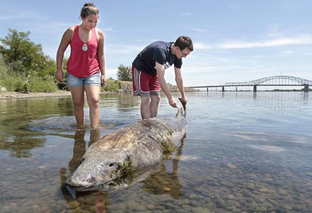 Here's how South Texans keep warm and catch more fish wading in winter