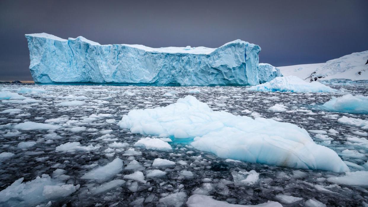 icebergs floating in the sea in antarctic greenland