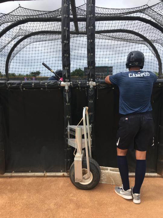 Tigers prospect Roberto Campos watches a teammate during batting practice.