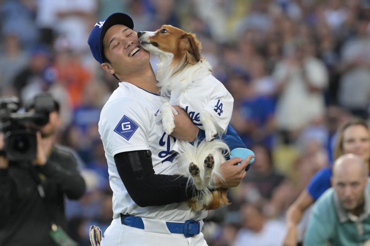 Los Angeles Dodgers designated hitter Shohei Ohtani (17) with his dog Decoy after he delivered he first pitch before the game against the Baltimore Orioles at Dodger Stadium.