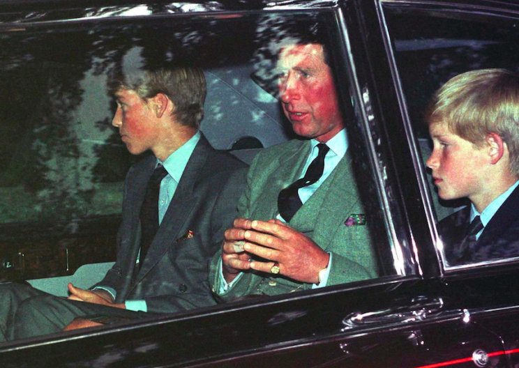 William and Harry were in a state of confusion in the hours after Princess Diana's death (Rex)