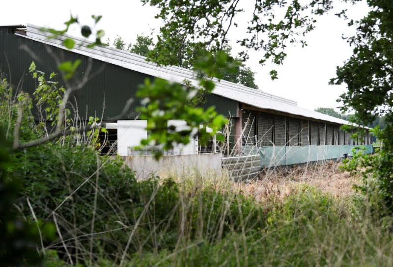 A mink farm is seen during the coronavirus disease (COVID-19) outbreak in De Mortel