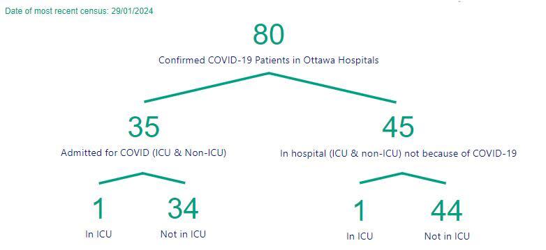 Ottawa Public Health has a COVID-19 hospital count that shows all hospital patients who tested positive for COVID, including those admitted for other reasons and who live in other areas.