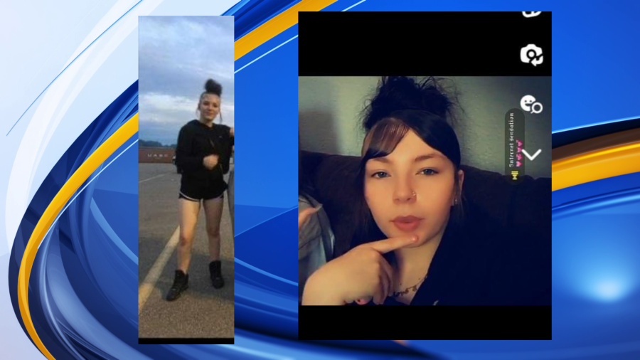 Lansing Police say 14-year-old Heaven Davies is missing. (Courtesy LPD/WLNS)