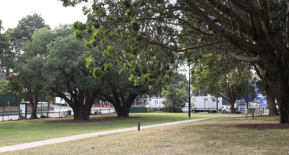 trees in Lambert park Leichhardt Sydney
