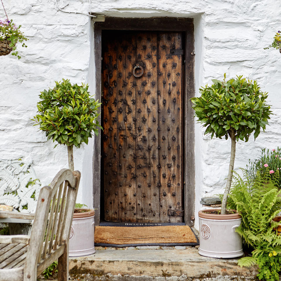 <p> As well as creating a sculptural feature, bay trees are aromatic herbs that have wonderfully scented leaves that can be used in cooking fresh or dried. </p> <p> Bay trees look particularly stunning in pairs flanking a doorway, or can be positioned next to seating areas on the patio for outdoor dining. They thrive in containers and can be clipped into attractive ball or pyramid topiary shapes. </p> <p> ‘A bay tree is very easy to look after, provided you give it a good sunny spot and feed it regularly,’ says Bertelsen. ‘Prune every spring, both to keep it at the size you want it and to reduce any congestion.’ </p> <p> It’s a good idea to repot bay trees every few years to keep them healthy and encourage fresh growth. Bay trees are an excellent choice for planter box. </p> <p> Eucalyptus trees are similarly fragrant which will grow well in pots. </p>