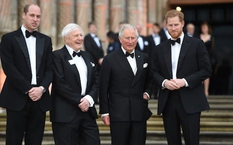 The Prince of Wales accompanied by The Duke of Cambridge and The Duke of Sussex at the premier of Our Planet - Credit: Eddie Mulholland