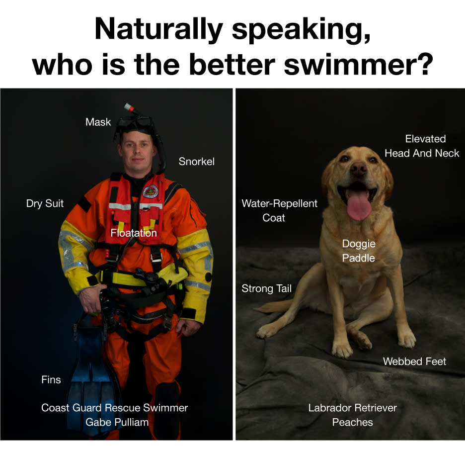 This image provided by Pamela J. Boehland shows public service poster created by the U.S. Coast Guard advising swimmers not to attempt to rescue their dogs who get swept away into surf. Experts say the average dog is a better swimmer than the average human. (AP Photo/Pamela J. Boehland)