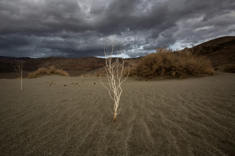 Humanity's expanding footprint heightens the risk of environmental damage and the WWF chief says corporations should recognise the need to act to turn the tide