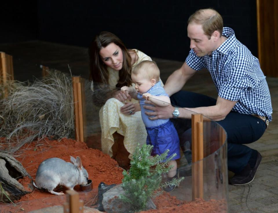 La visite du zoo de Taronga