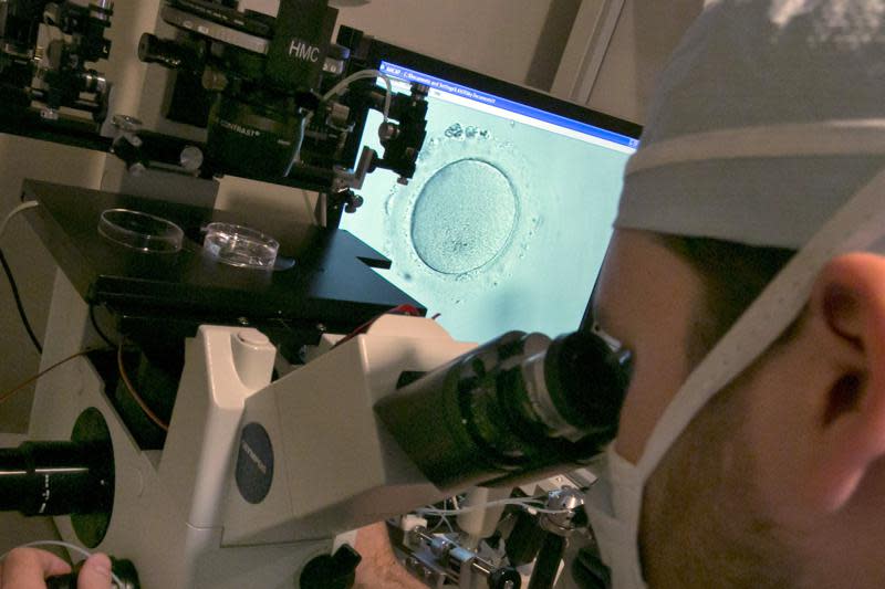 FILE – An embryologist uses a microscope to examine an embryo, visible on a monitor, center, at a clinic in New York on Thursday, Oct. 3, 2013. Black-white disparities exist in fertility medicine, according to a study of U.S. births, released on Wednesday, Oct. 19, 2022. Researchers found a gap in deaths of infants born to Black women who used fertility treatment compared to white women, a gap much wider than seen in babies born without fertility treatment. (AP Photo/Richard Drew)
