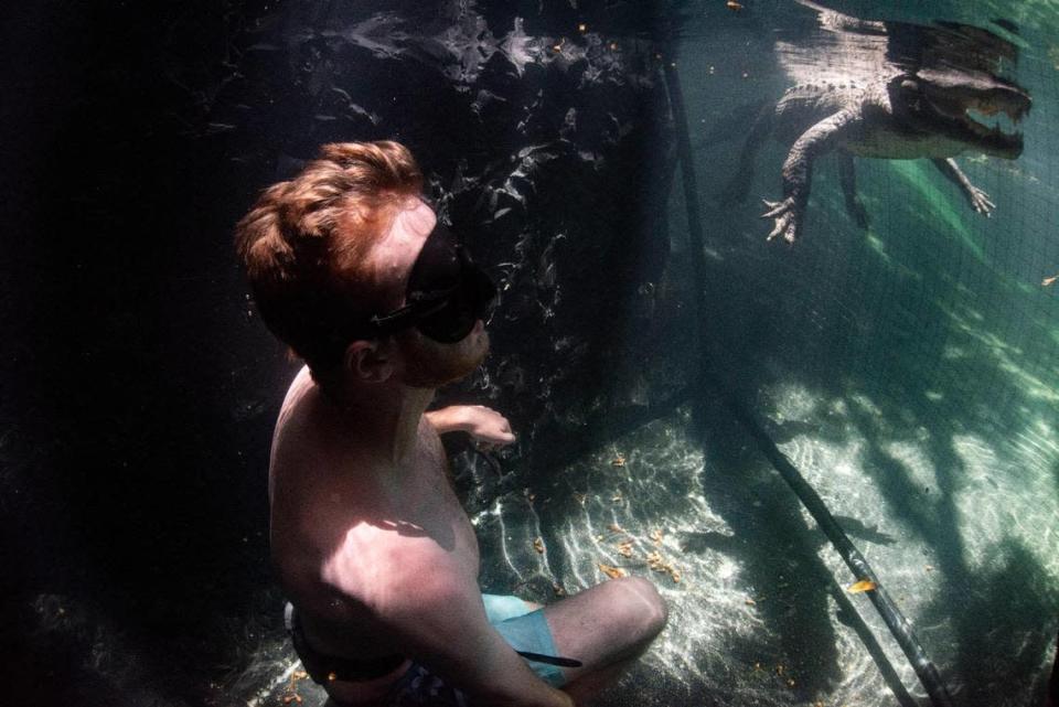 Andrew Ferguson, de 21 años, de Arizona, se sienta detrás de una red para ver nadar al caimán Casper durante un Tour Subacuático de Caimanes en el Everglades Outpost.