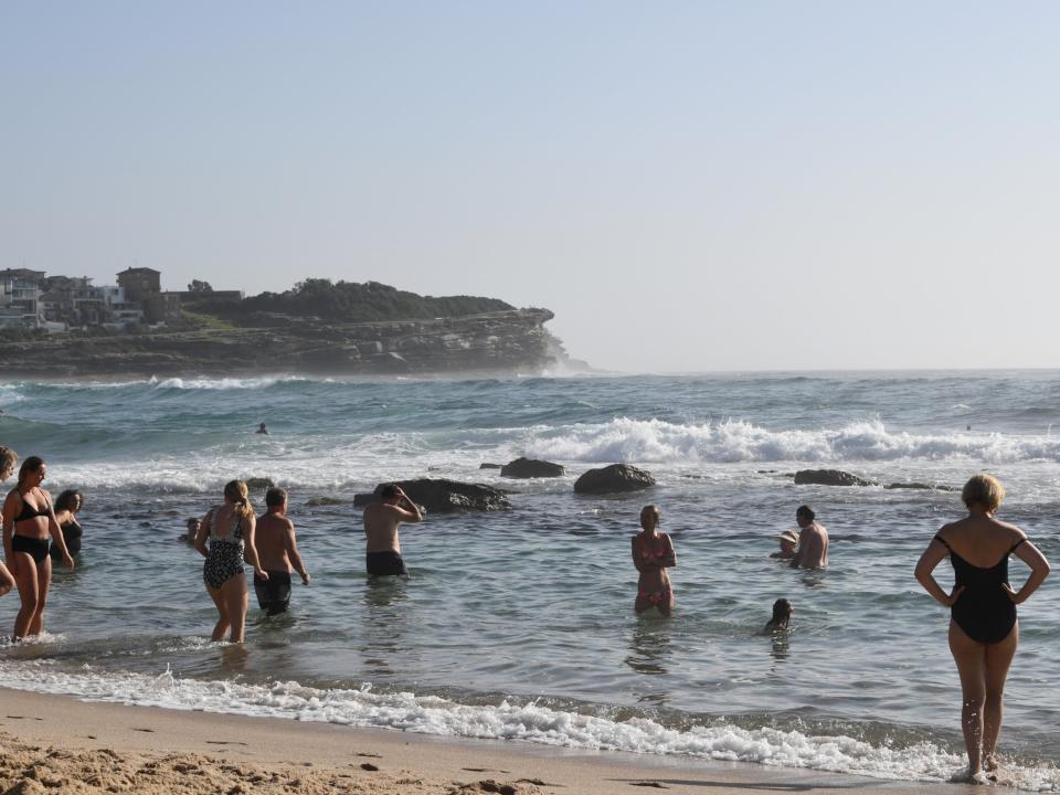 Australia heatwave: Mass animal deaths and roads melting as temperatures reach record high