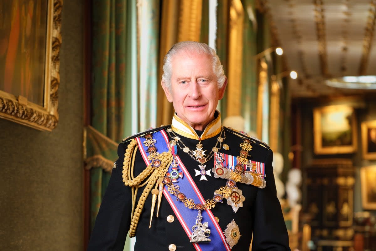 The new official portrait of the King  (Hugo Burnand/Royal Household 2024/Cabinet Office/PA)