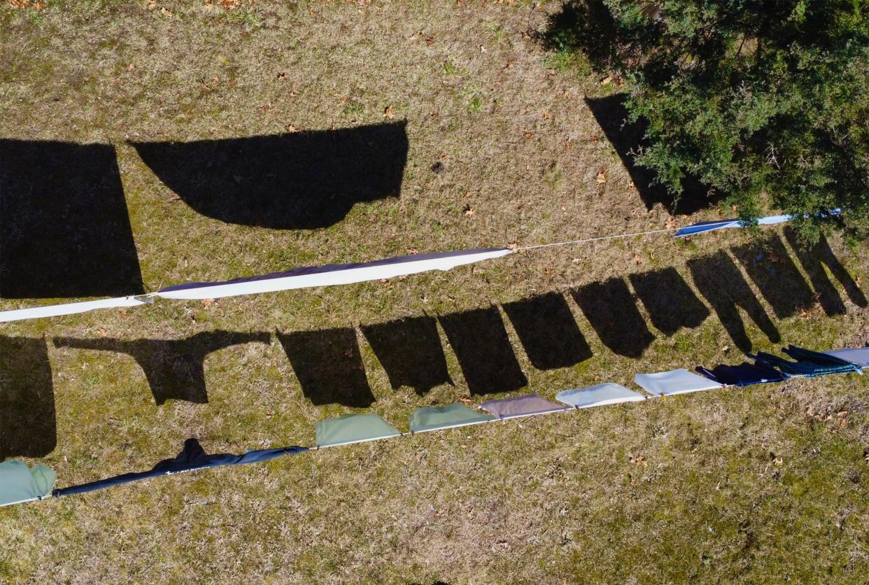 The morning wash creates a mosaic of shadows across the backyard lawn on a perfect day of spring weather full of new beginnings.