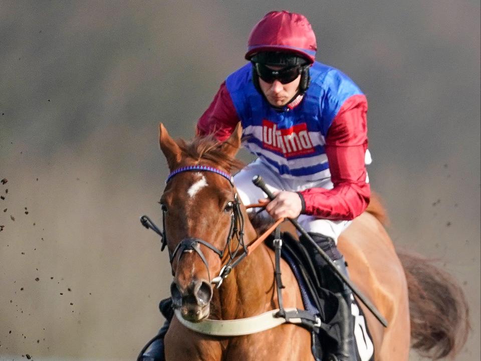 Adrian Heskin riding Tritonic (Getty Images)