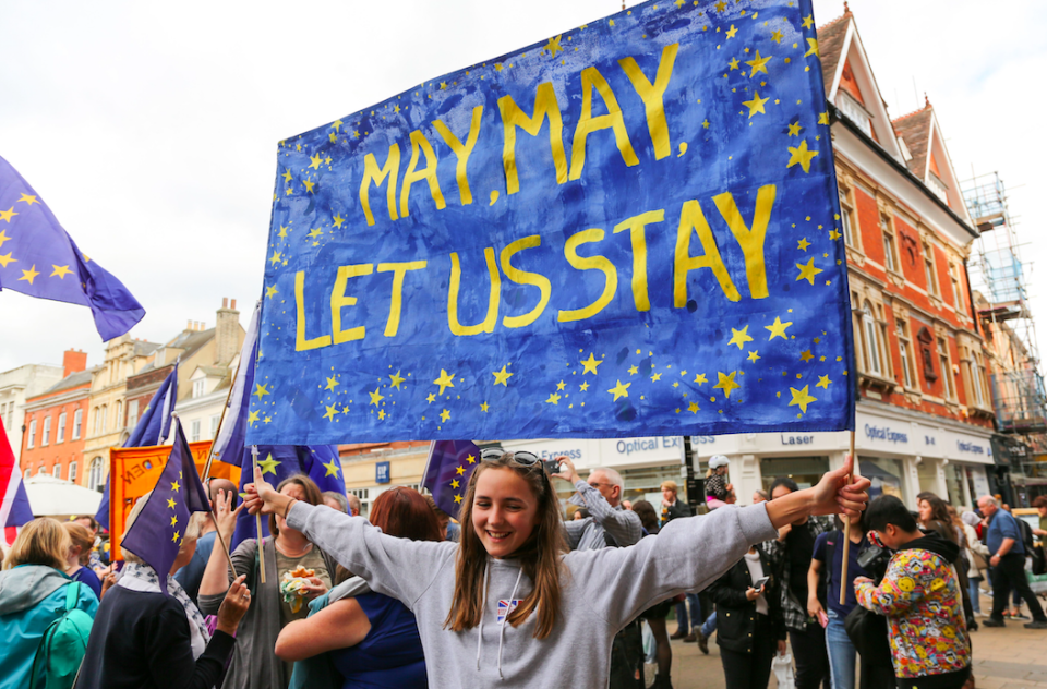 <em>Remainers are hoping that Brexit could ultimately be blocked (Rex)</em>