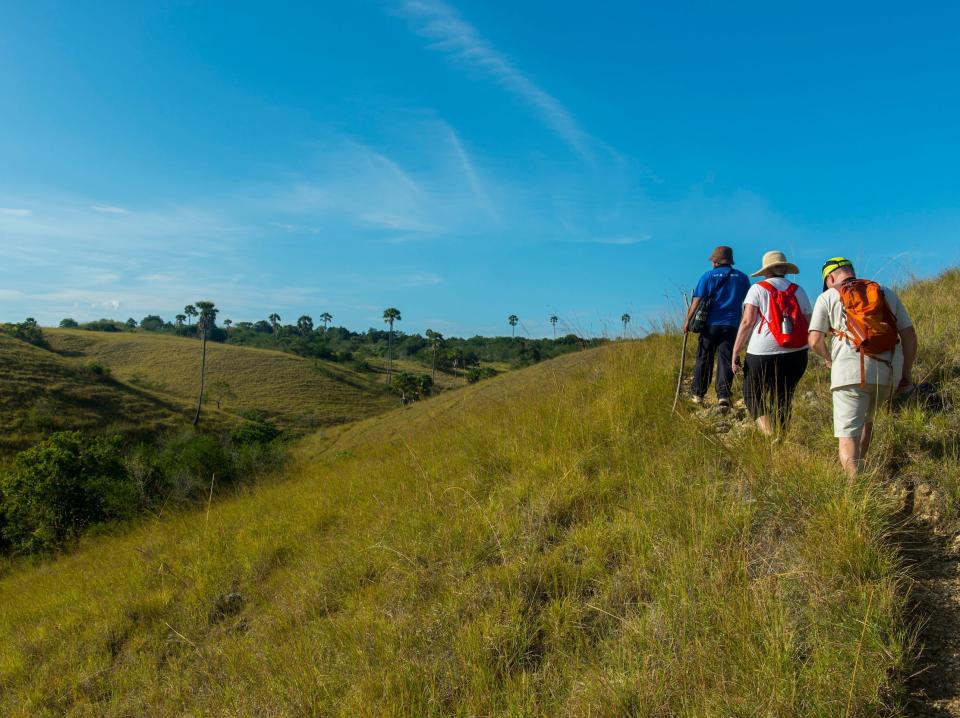 Tourists walking trough the savannah like hilly landscape of Rinca Island.