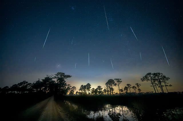 Getty Geminid Meteor Shower 2020 over pond and direct road in Fred C. Babcock/Cecil M. Webb Wildlife Management Area near Punta Gorda, Florida. The Geminids meteor shower is caused by the object 3200 Phaethon which is thought to be a Palladian asteroid with a "rock comet" orbit.