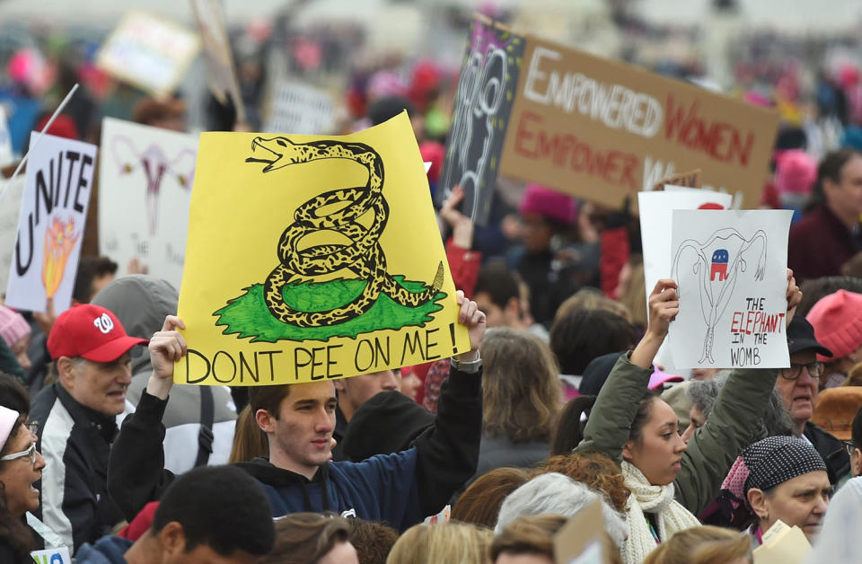 <p>Demonstrators protest on the National Mall in Washington, DC, for the Women’s March on January 21, 2017. (ANDREW CABALLERO-REYNOLDS/AFP/Getty Images) </p>