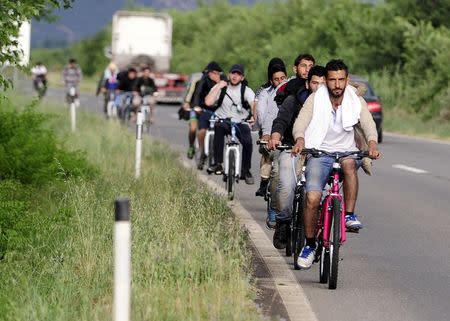 Migrants from Syria ride their bicycles near the Greek border in Macedonia June 17, 2015. REUTERS/Ognen Teofilovski
