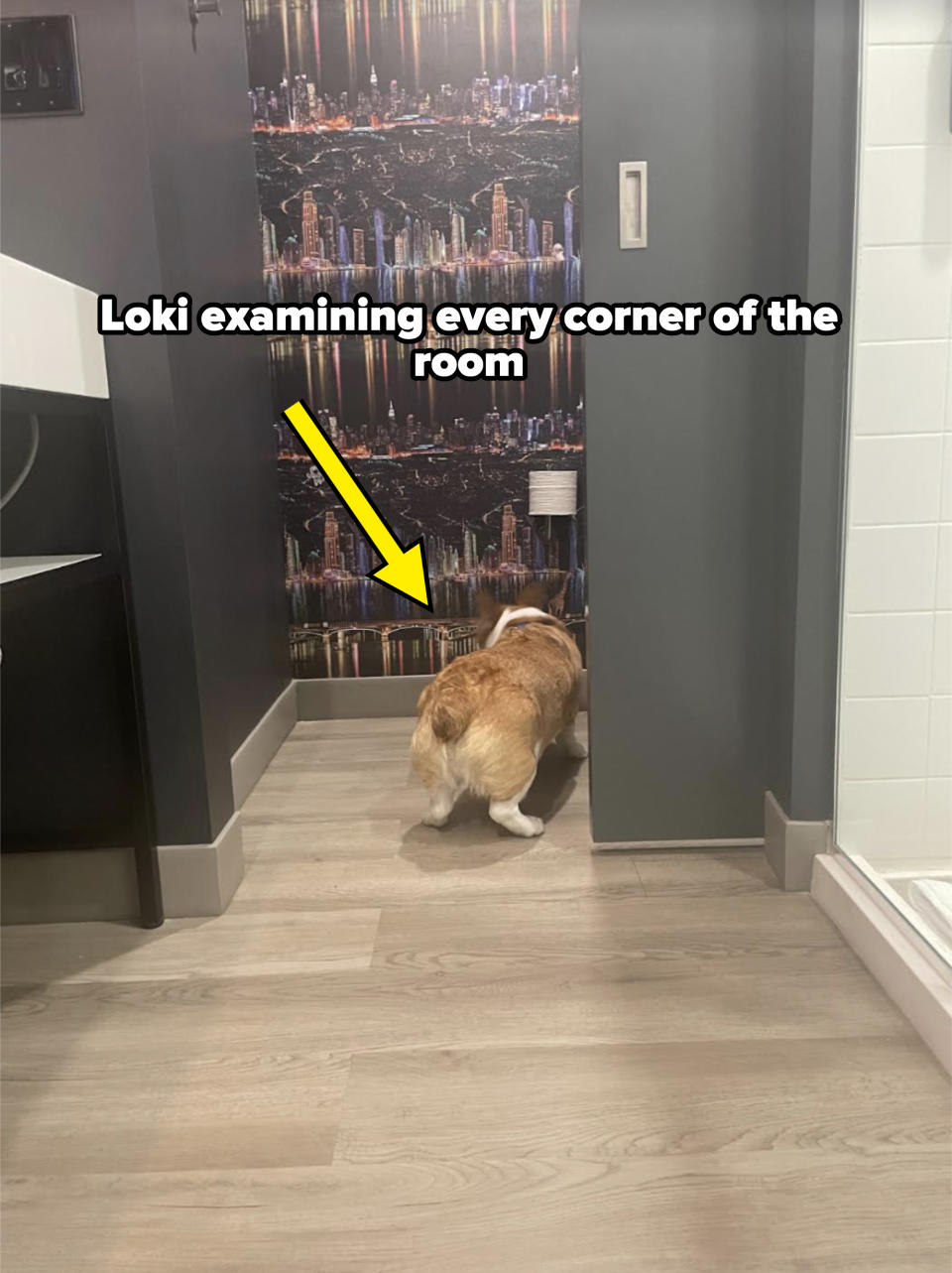 Dog standing in a kitchen with a cityscape wallpaper